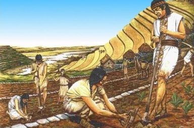 Dibujo a color de indígenas sembrando la tierra en los ayllus con técnicas ancestrales y andenes incas de fondo.